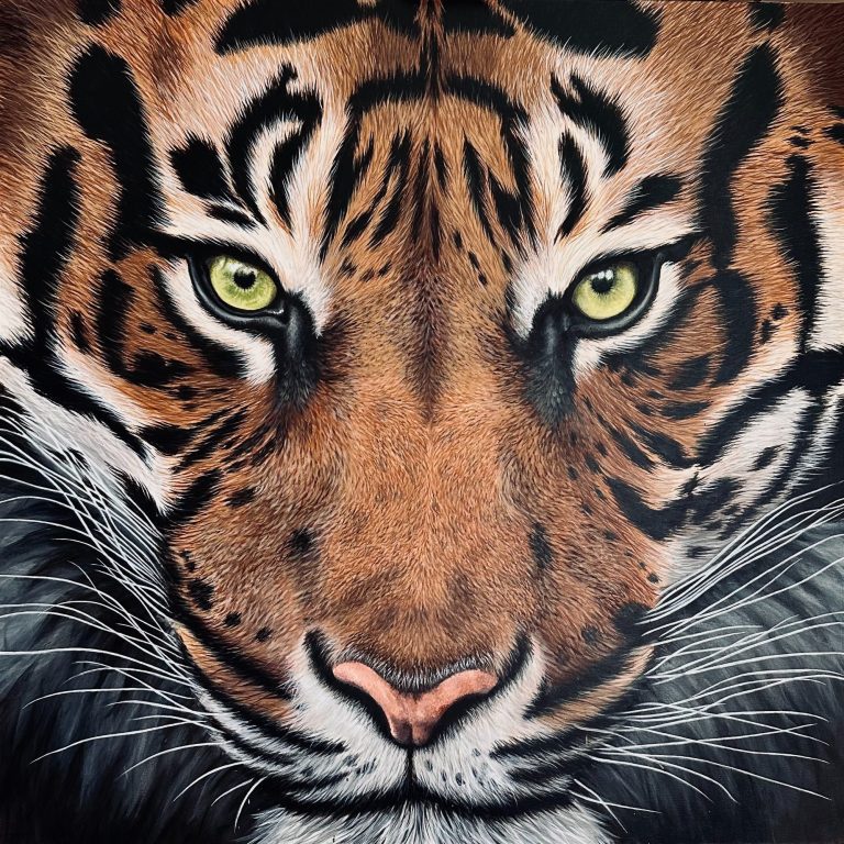 TABLEAU TIGRE