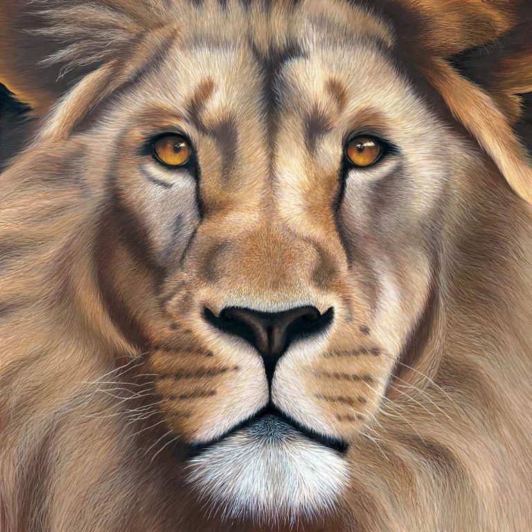 TABLEAU TIGRE BLANC