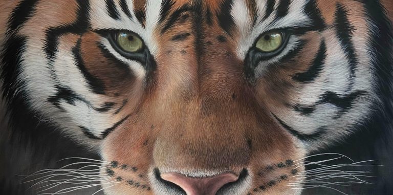 TABLEAU TIGRE BLANC
